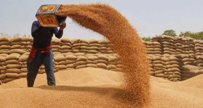 Centre set to exit wheat procurement under IMF pressure